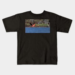 Galapagos Islands Flamingo Kids T-Shirt